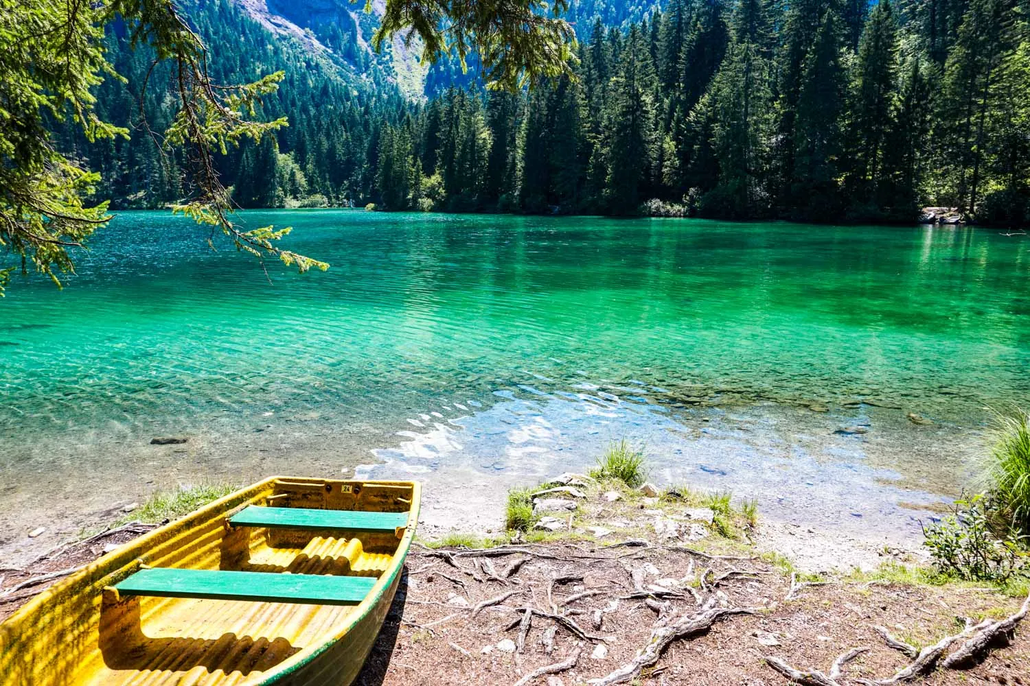 Terzo Giorno - Lago di Tovel - Castel Thun - Lago di Toblino